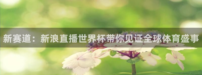 亚洲杯足球：新赛道：新浪直播世界杯带你见证全球体育盛事