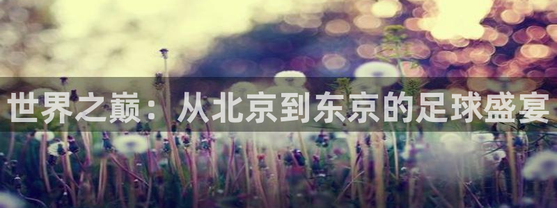世界杯欧洲预选赛：世界之巅：从北京到东京的足球盛宴