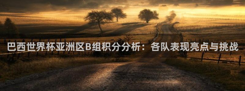 世界杯2026赛制：巴西世界杯亚洲区B组积分分析：各队表现亮点与挑战