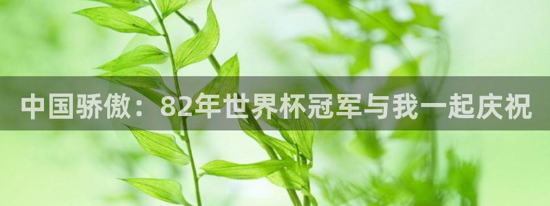 2026世界杯赛制：中国骄傲：82年世界杯冠军与我一起庆祝