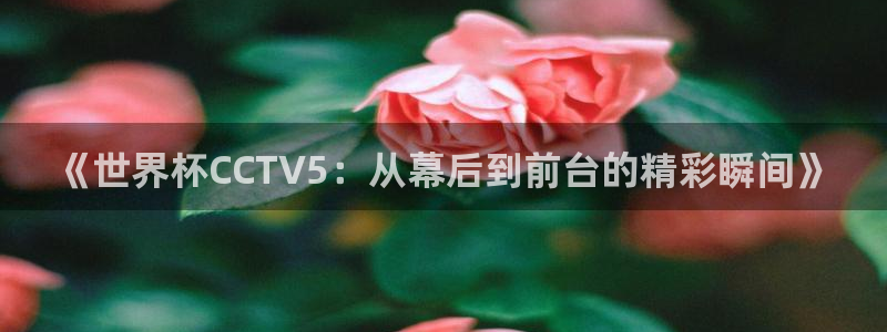 足球世界杯预选赛：《世界杯CCTV5：从幕后到前台的精彩瞬间》
