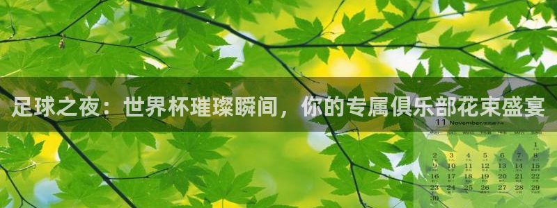 2026男足世界杯：足球之夜：世界杯璀璨瞬间，你的专属俱乐部花束盛宴