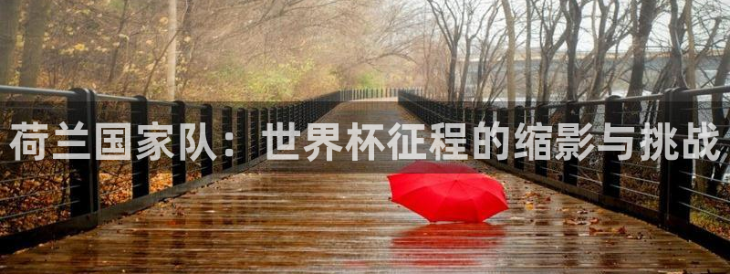 2026世界杯亚洲区预选赛赛程：荷兰国家队：世界杯征程的缩影与挑战