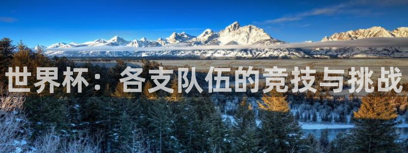 2026世界杯官网：世界杯：各支队伍的竞技与挑战