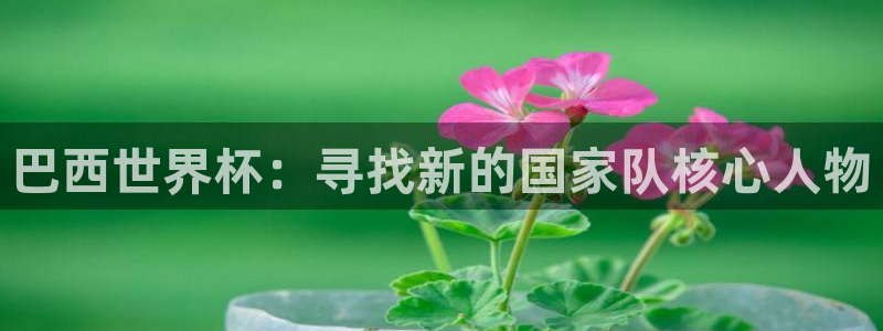 世界杯 直播：巴西世界杯：寻找新的国家队核心人物