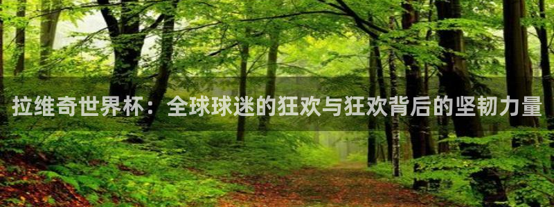 女足世界杯赛程：拉维奇世界杯：全球球迷的狂欢与狂欢背后的坚韧力量