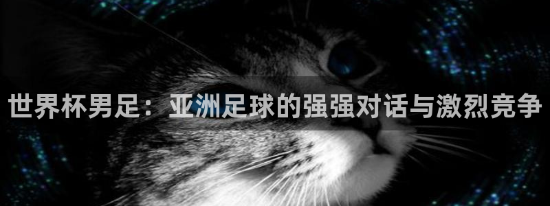 世界杯亚洲区预选赛积分榜：世界杯男足：亚洲足球的强强对话与激烈竞争